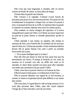 Le chevalier blanc
