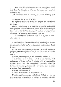 Un coucher de soleil