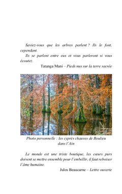 Auprès de mon arbre