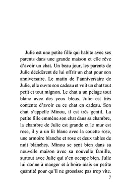 Julie et la petite aventure du chat
