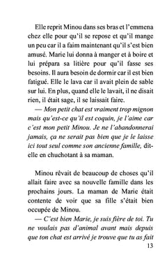Julie et la petite aventure du chat