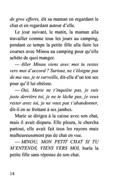 Julie et la petite aventure du chat