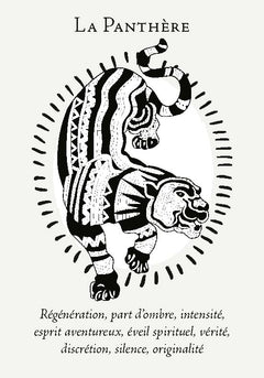 Coffret La boîte du chaman