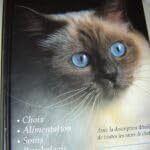 Vivre avec les chats