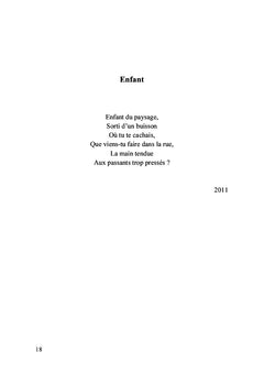 Le nouveau recueil de mes souvenirs