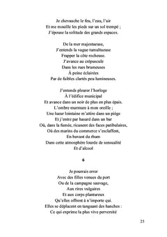 Le nouveau recueil de mes souvenirs