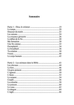 Les lumières de David