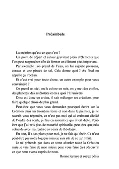 Les lumières de David