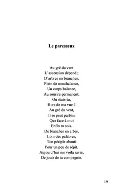 Regard d'une tranche de vie