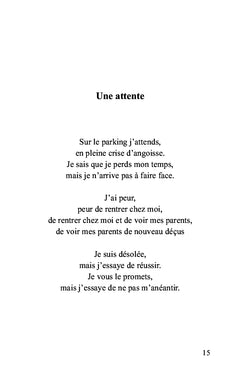 Le journal de Nono