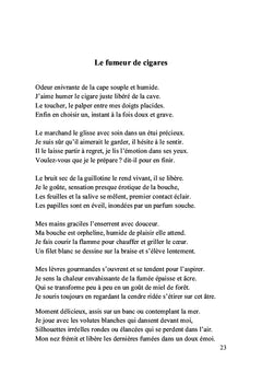 Gris Rose Rouge