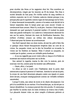 Le chemin de l'humanité