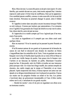 Le chemin de l'humanité