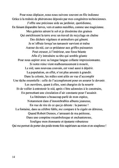 Énigmes poétiques