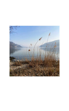 Lumière du lac