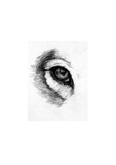 Les chroniques de la lune verte