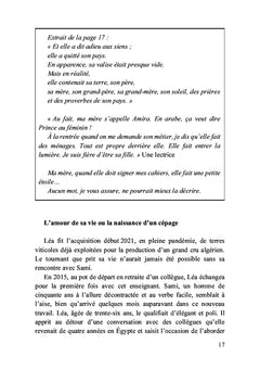 Itinérance