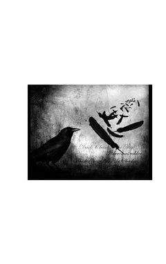 Le ballet des corbeaux