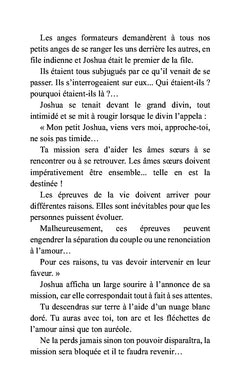 La mission de l'ange Joshua