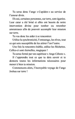 La mission de l'ange Joshua