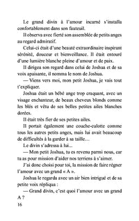 La mission de l'ange Joshua