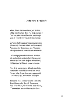 La grisaille et l'azur
