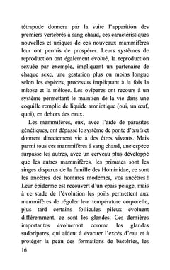 Origines : le grand début d'un tout petit rien