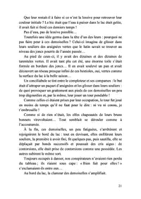 L'espoir à tout va