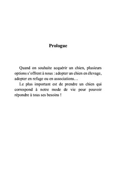 Un chien, une histoire