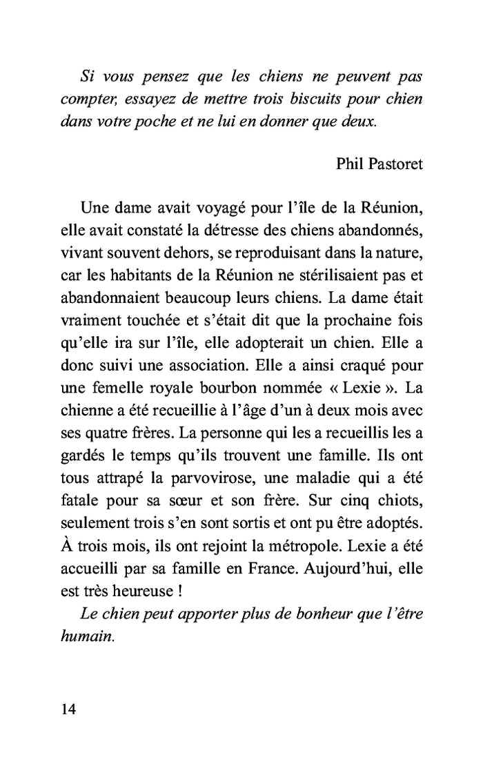 Un chien, une histoire