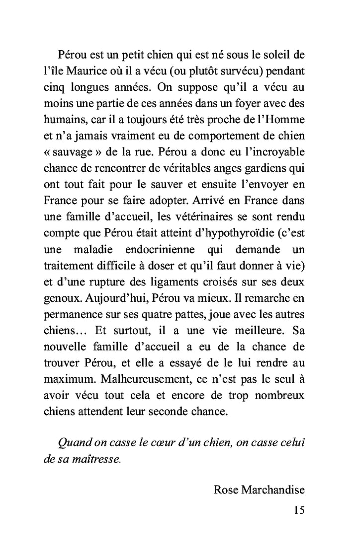 Un chien, une histoire