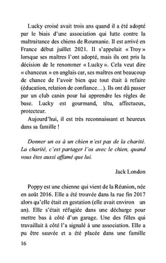 Un chien, une histoire