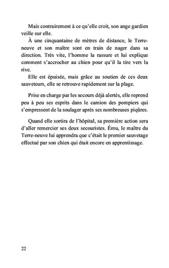 Les petites histoires de Mamido