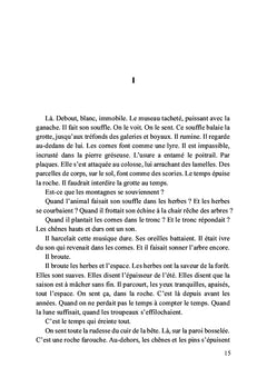 Les pâturages de la nuit