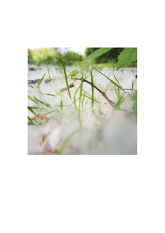 Nature et tremblements