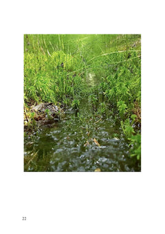 Nature et tremblements