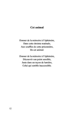 La patte de l'ours