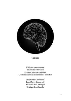50 nuances de systèmes