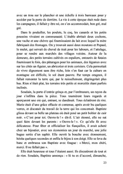 Le papé du briquet