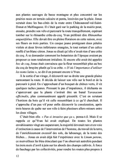 Traque et règlements de comptes dans les sous-bois de la montagne de Lure