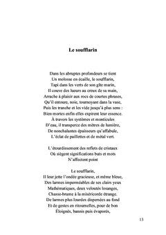 Les détours du prisme
