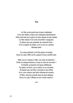 Les détours du prisme