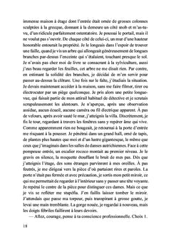 Un détective à New York