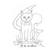 Maître chat et le boomerang