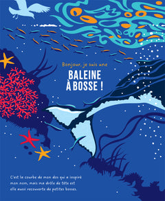 Mon histoire de baleine à bosse