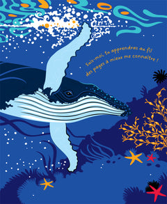 Mon histoire de baleine à bosse