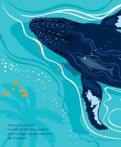 Mon histoire de baleine à bosse