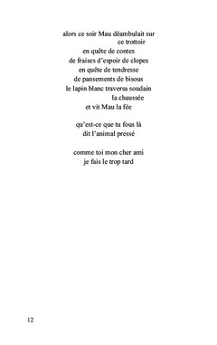 Les mots de mes nuits