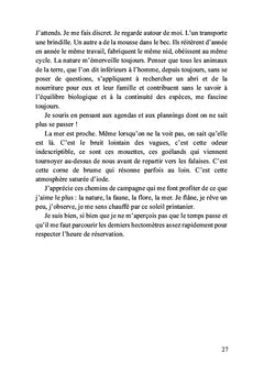 L'éclaircie