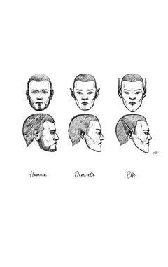 Les Chroniques de Nessiopia